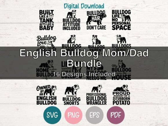 English Bulldog Bundle: 16 Graphics for T-Shirt Designs